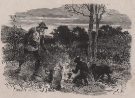 Gravures Pauline LOUIS (6)